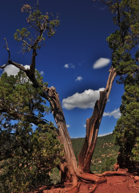 Garden of the Gods